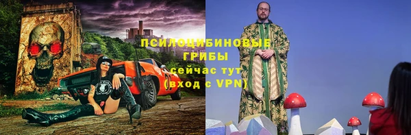 гидра Беломорск